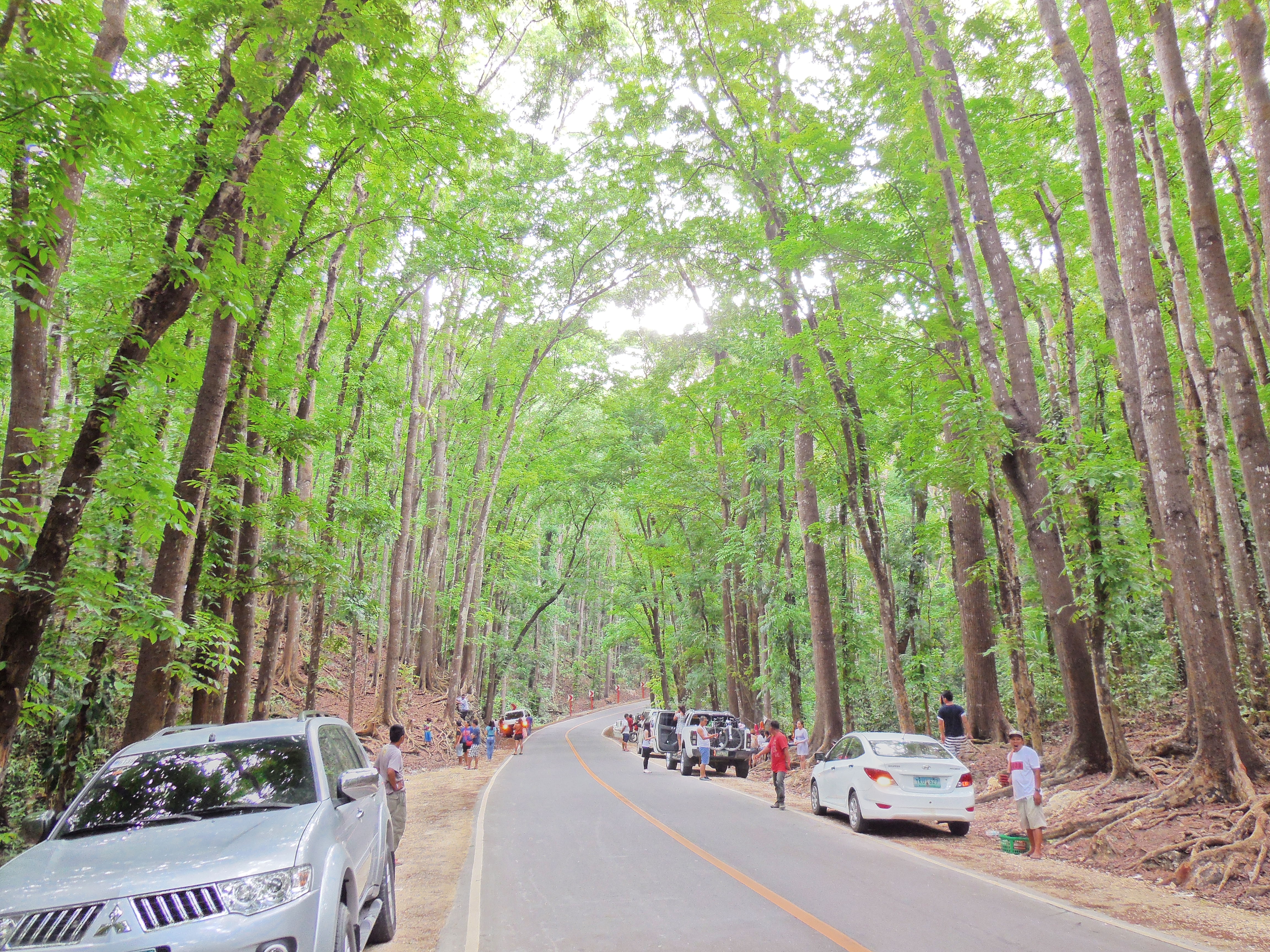Bohol Selfie Photo Contest Runner Up 1