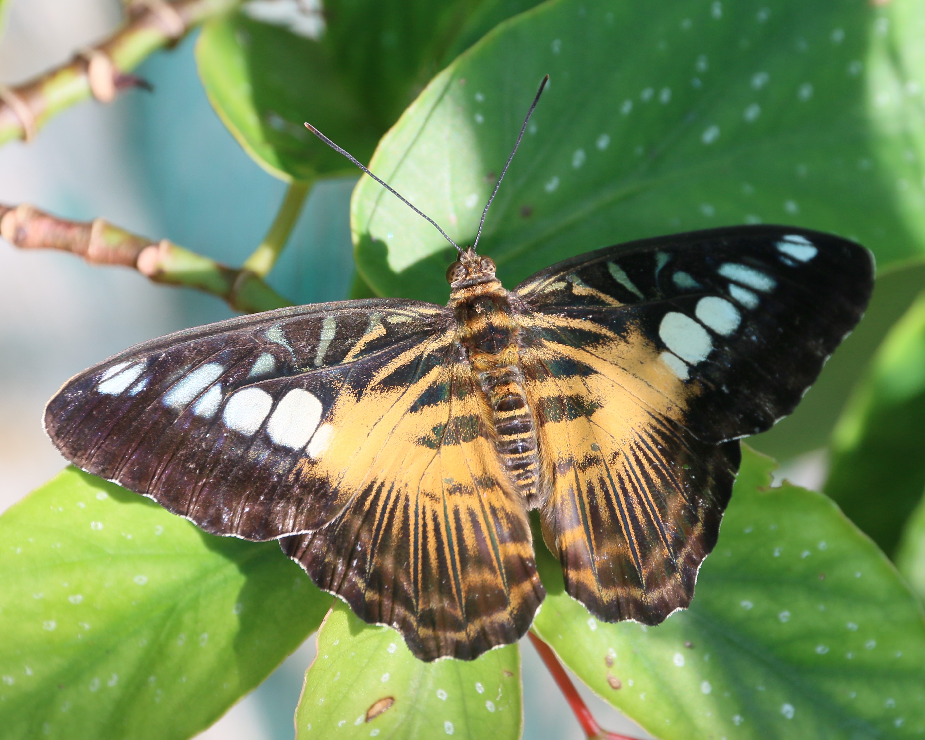 Bohol Selfie Photo Contest Runner Up 2